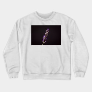 Lavender on Black Crewneck Sweatshirt